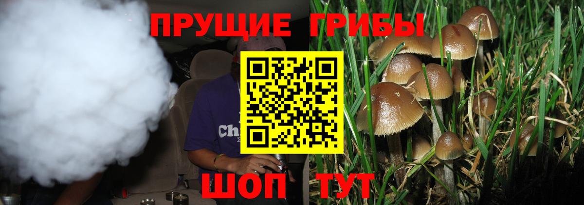 Сафоново  Галлюциногенные грибы мицелий  Вход с VPN 